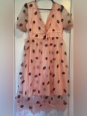 Woman’s ' Pink Strawberry Embellished Tulle Dress